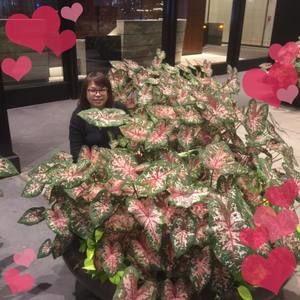 Meet your Posher, Linda